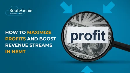 How to Maximize Profits and Boost Revenue Streams in NEMT