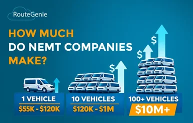 how much nemt companies make