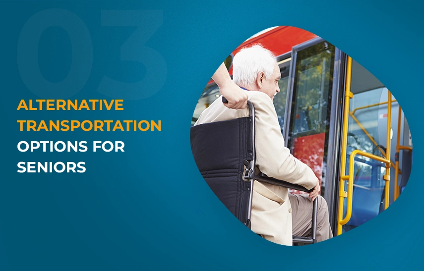 III. Alternative Transportation Options for Seniors