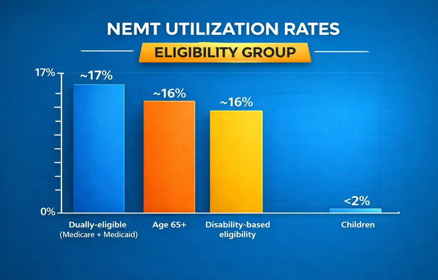 nemt usage by age group
